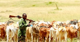 Beyond Violence: Addressing the Complexity of Farmer-Herder Conflicts in West and Central Africa