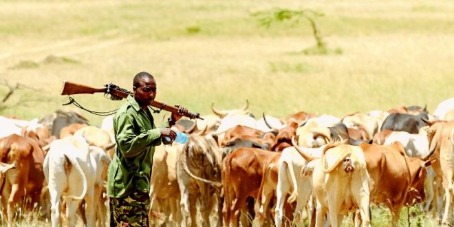 Beyond Violence: Addressing the Complexity of Farmer-Herder Conflicts in West and Central Africa